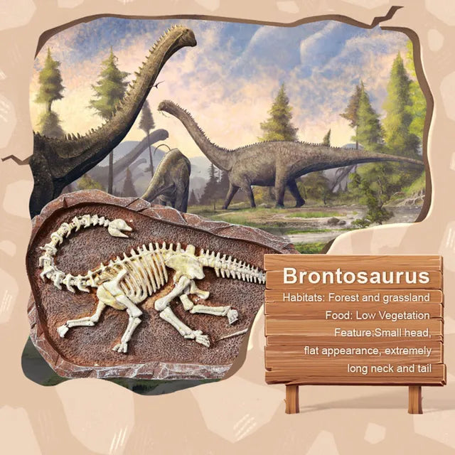 Mideer - Steam Game Revive Brontosaurus – Age 6+