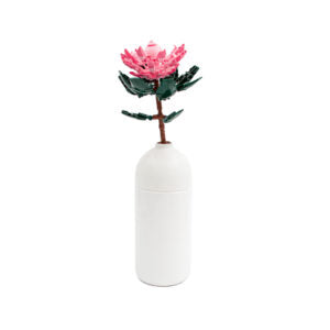 Sluban Pleyerid Flowers Protea Building Blocks Set – 219pcs