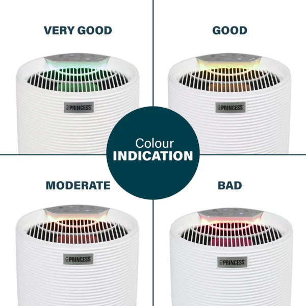 Princess Smart 160 Air Purifier - App & Voice Control with HEPA H13 Filter