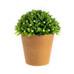 Minette Potted Flower - Madame Coco JO