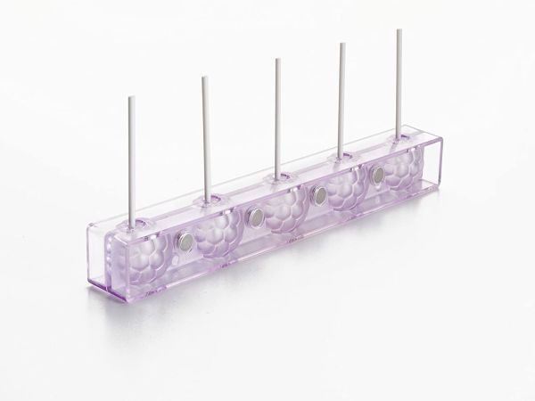 Ibili Cake Mold with 24 Sticks for Easy Dessert Making
