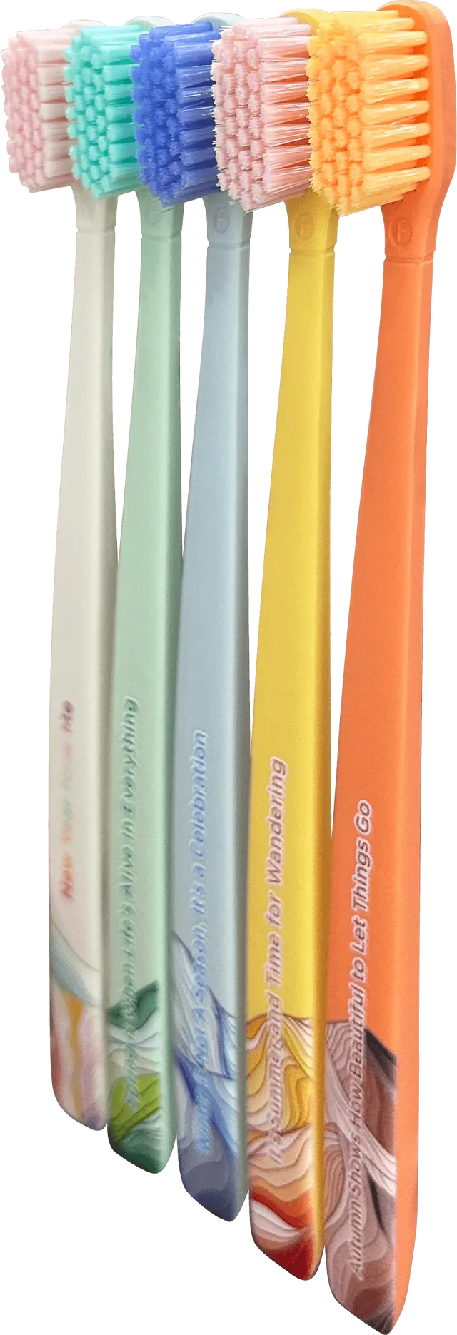 Flipper Kids' Twigo 365 Soft Bristles Annual Toothbrush Set - Multicolor - 5 Pcs