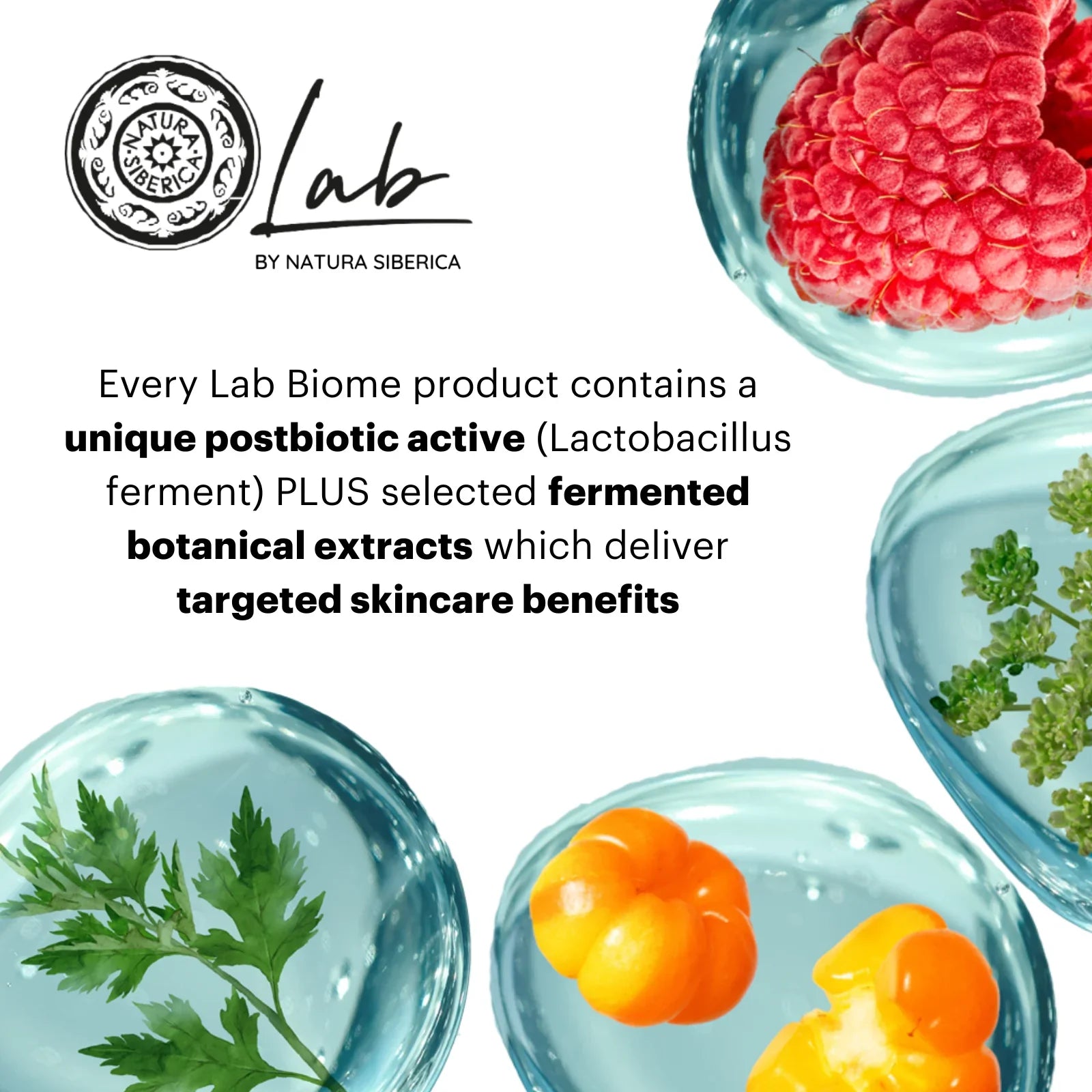 Lab Biome Retinol Night Cream 0.5% – 50ml | Gentle Plant-Based Care