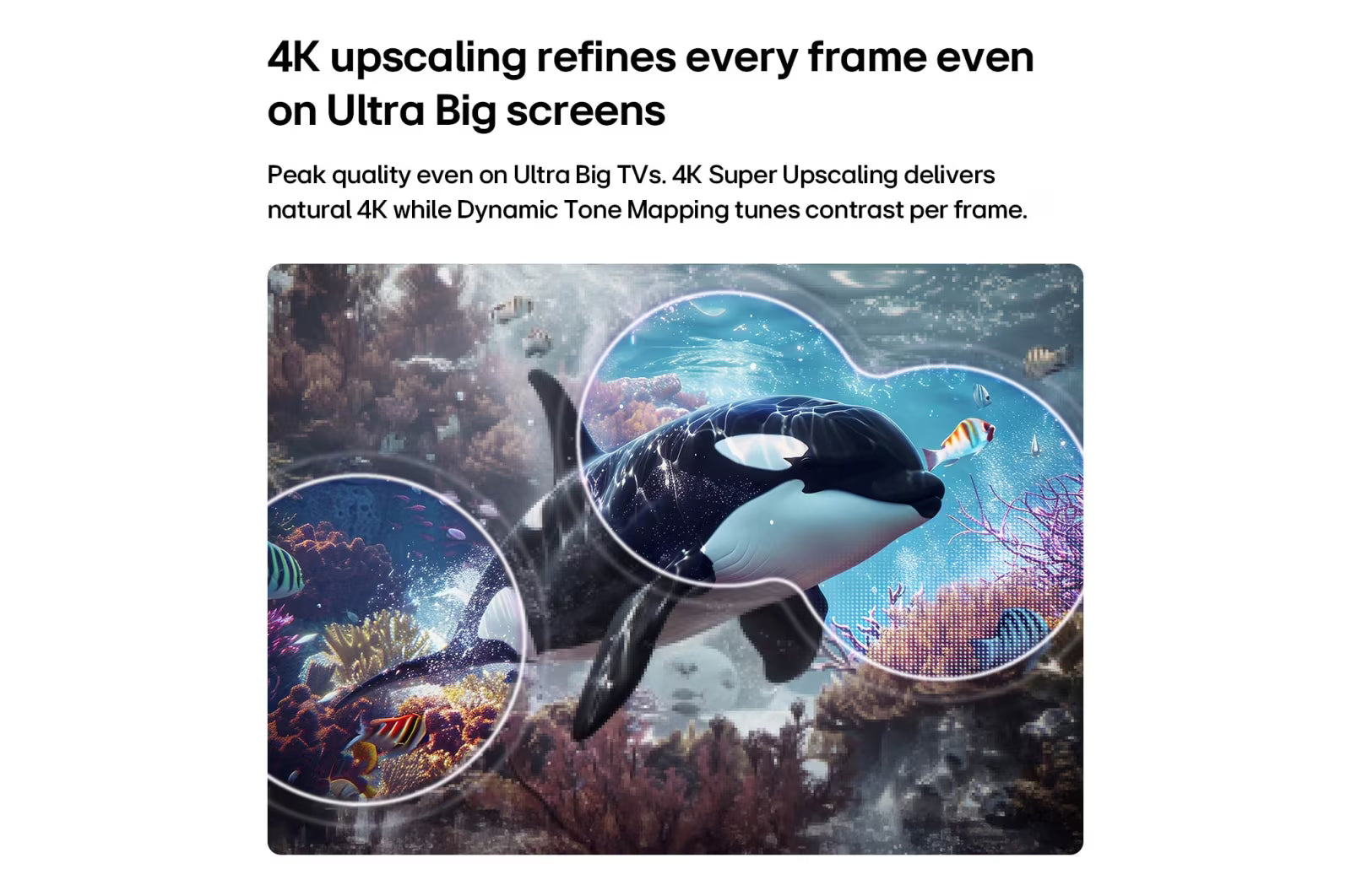LG QNED70 Mini LED 4K Smart TV 75" (2026)