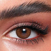 Bella lenses Cinnamon Brown