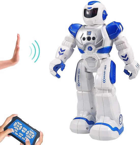 The Source Motion Robot Your Smart and Interactive Robotic Friend