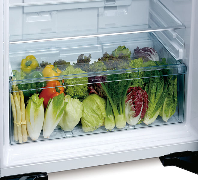 Hitachi  Big2 Elegant Series 510L Top Freezer Refrigerator