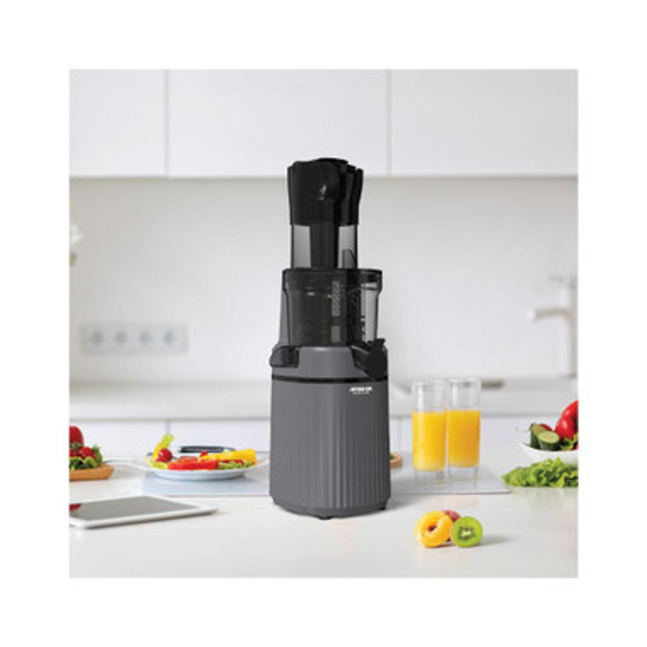 Arshia Slow Juicer – 200W Gray Cold Press Juicer