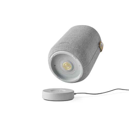 Harman Kardon Citation 200 Portable Wi-Fi Bluetooth Speaker with Google Assistant