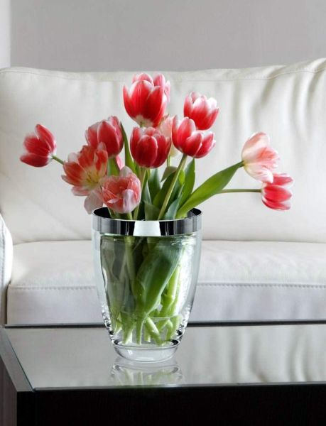 Edzard Charlotte 16cm Crystal Glass Vase - Elegant & Luxury