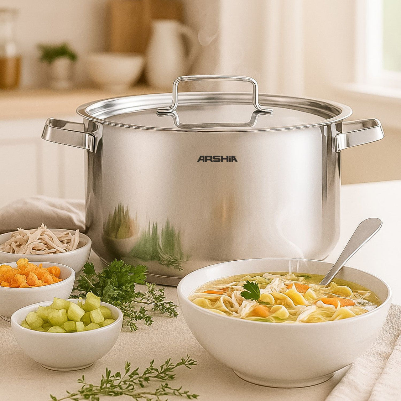 Arshia 28cm Stainless Steel Cooking Pot with Metal Lid