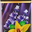 Areon Mon card freshener - patchouli Lavender Vanilla- for car
