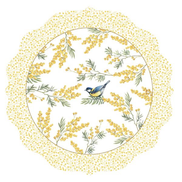 Easy Life Mimosa 2-Piece Dish Mats 34.5cm - Multi Colors