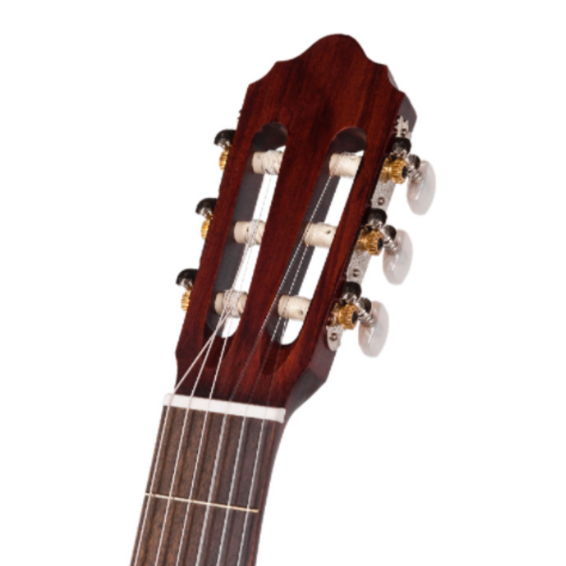 Cort Classical Guitar with bag