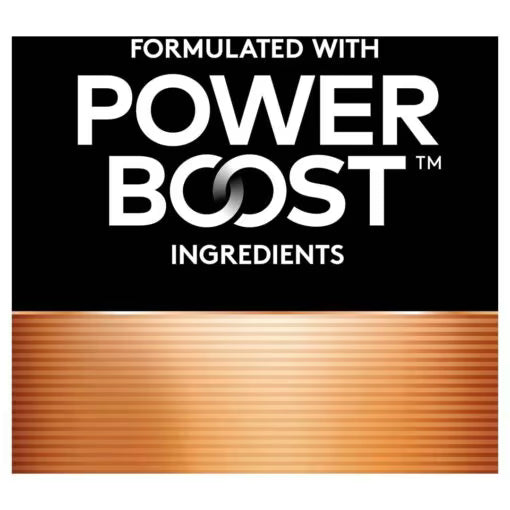 Duracell Coppertop AAA Alkaline Batteries – 10 Pack