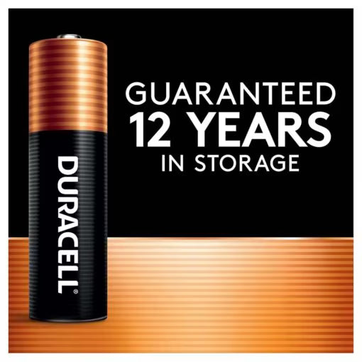 Duracell Coppertop AAA Alkaline Batteries – 10 Pack