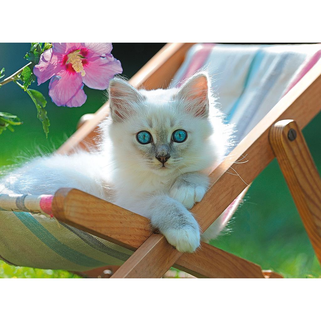 Ravensburger Puzzle 200 pc White Cat