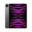 iPad Pro 11: iPad (4th generation) - 256GB - Space Gray